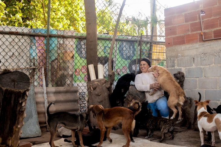 Cães felizes no abrigo